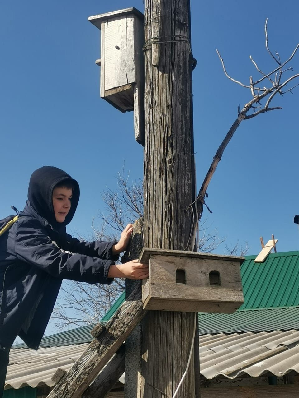 Нурлатские школьники поддержали «Эковесну-2025», создав уют для пернатых друзей