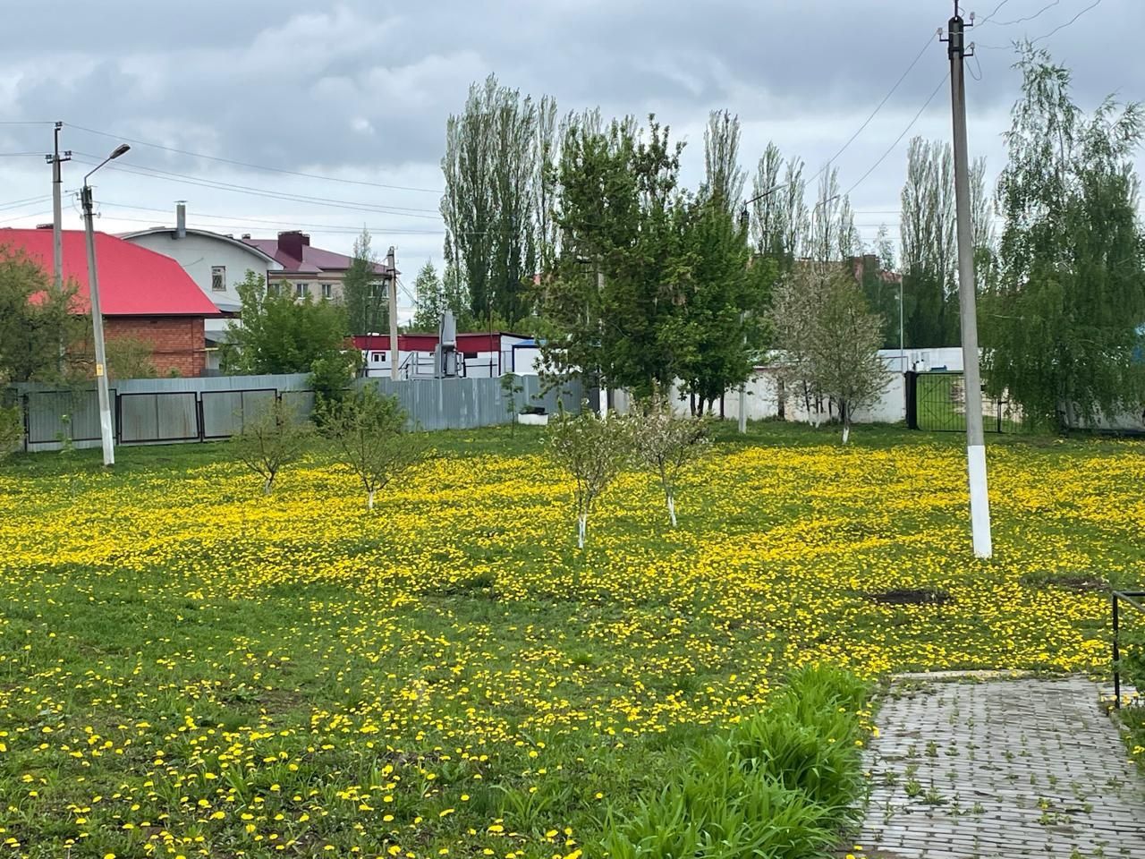 Жители Нурлатского дома-интерната украшают территорию с заботой и теплом