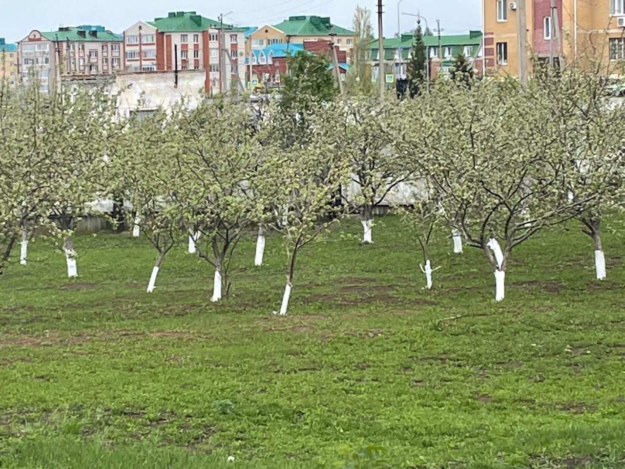 Жители Нурлатского дома-интерната украшают территорию с заботой и теплом