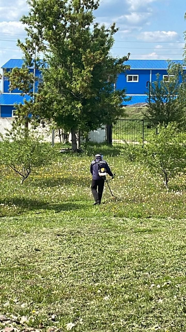 Жители Нурлатского дома-интерната украшают территорию с заботой и теплом