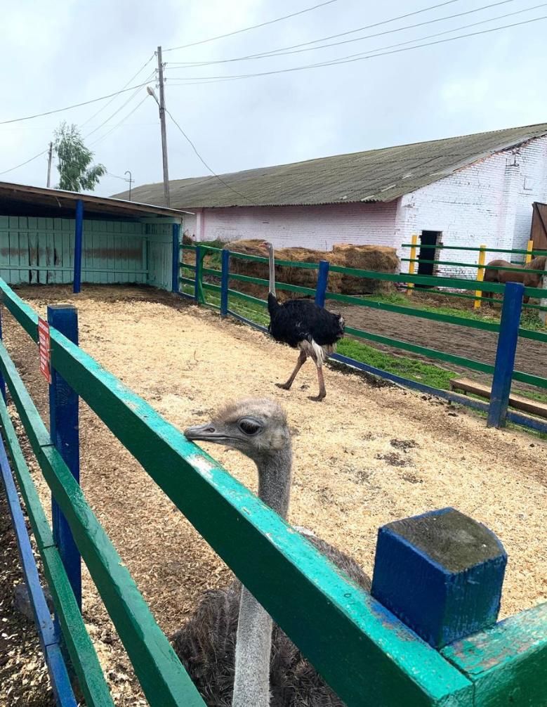 Нурлатцы участвуют в семинар-совещании по развитию сельского предпринимательства