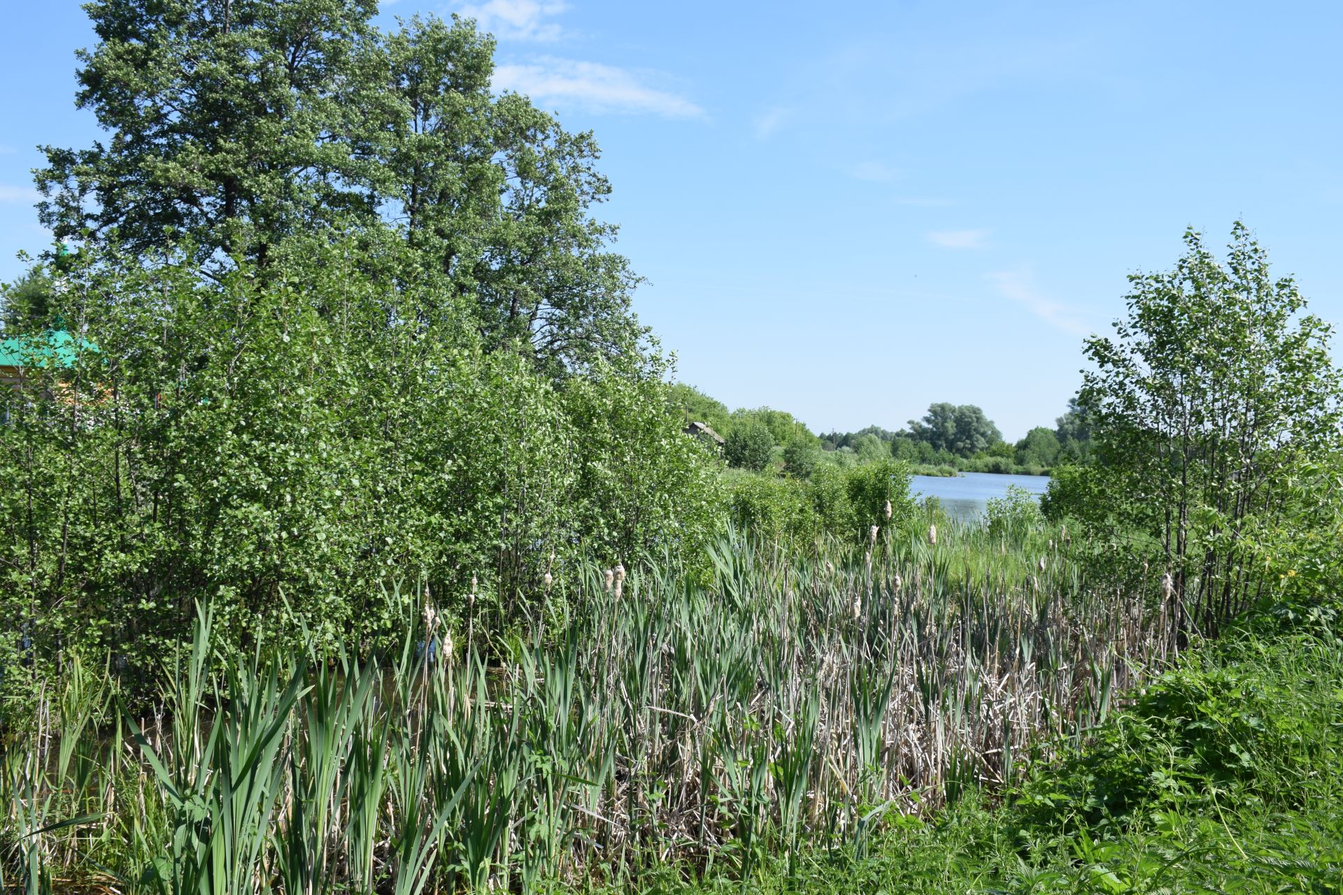 Первый День села в Нурлатском районе: Нариманово собрало земляков на душевный праздник