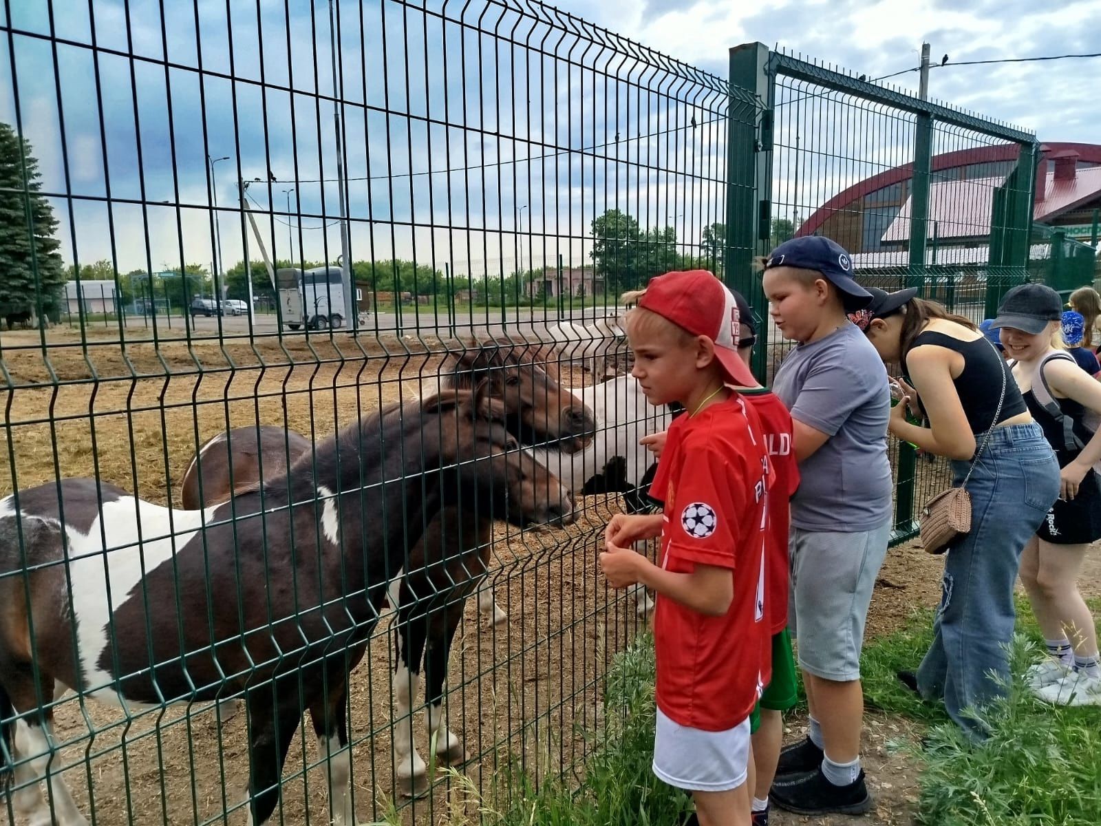 Воспитанники летнего лагеря «Улыбка» Андреевской школы посетили Нурлатский конный завод