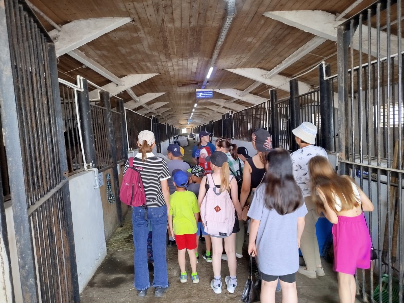 Воспитанники летнего лагеря «Улыбка» Андреевской школы посетили Нурлатский конный завод