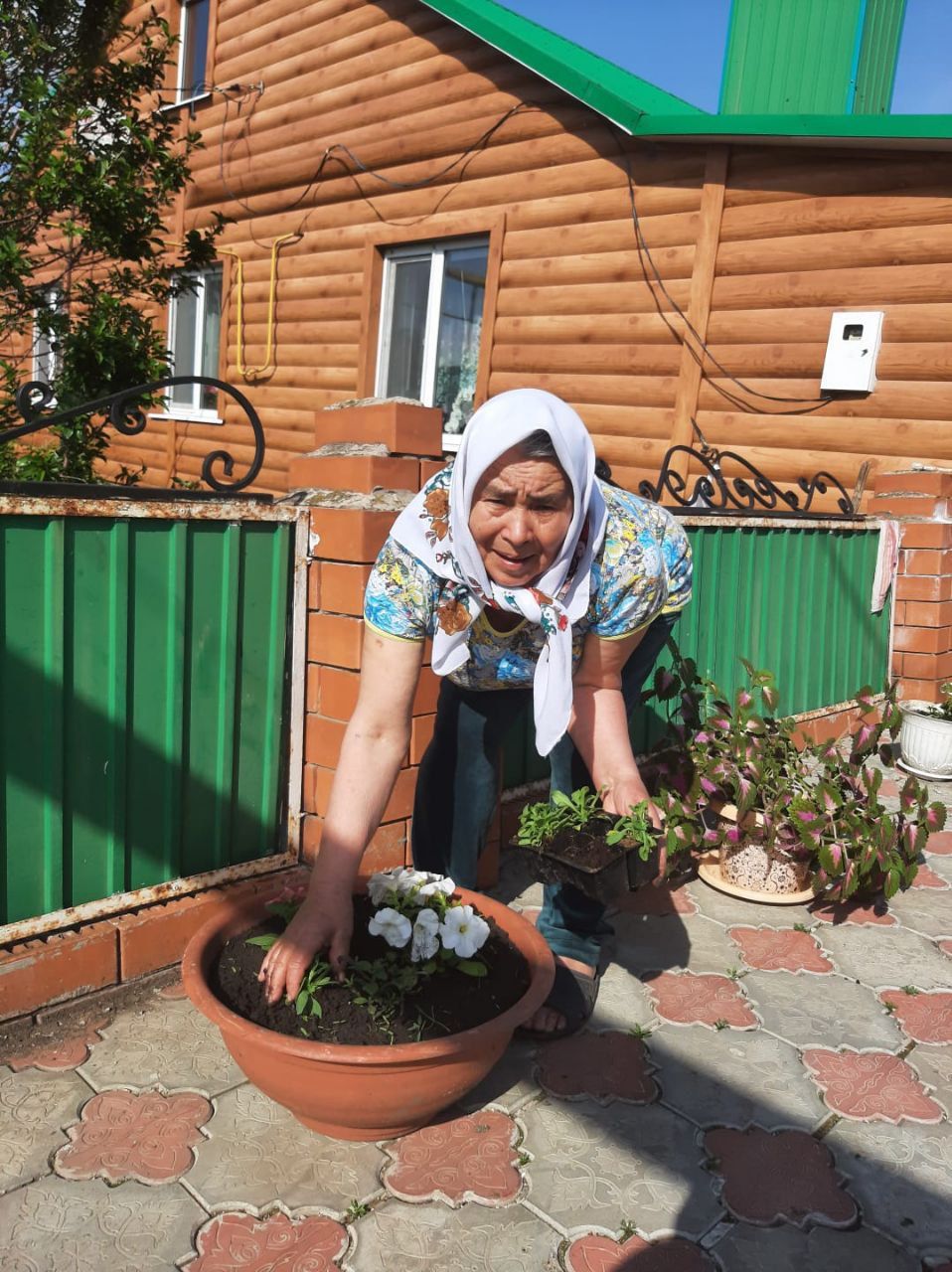 «Гарденотерапия» в Нурлате: цветочное настроение для пожилых и инвалидов