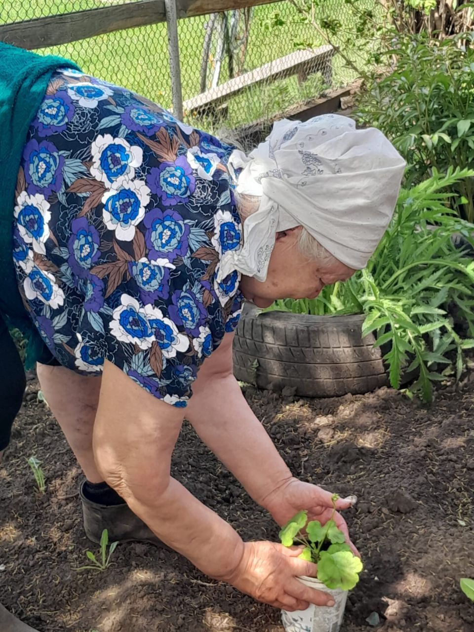 «Гарденотерапия» в Нурлате: цветочное настроение для пожилых и инвалидов