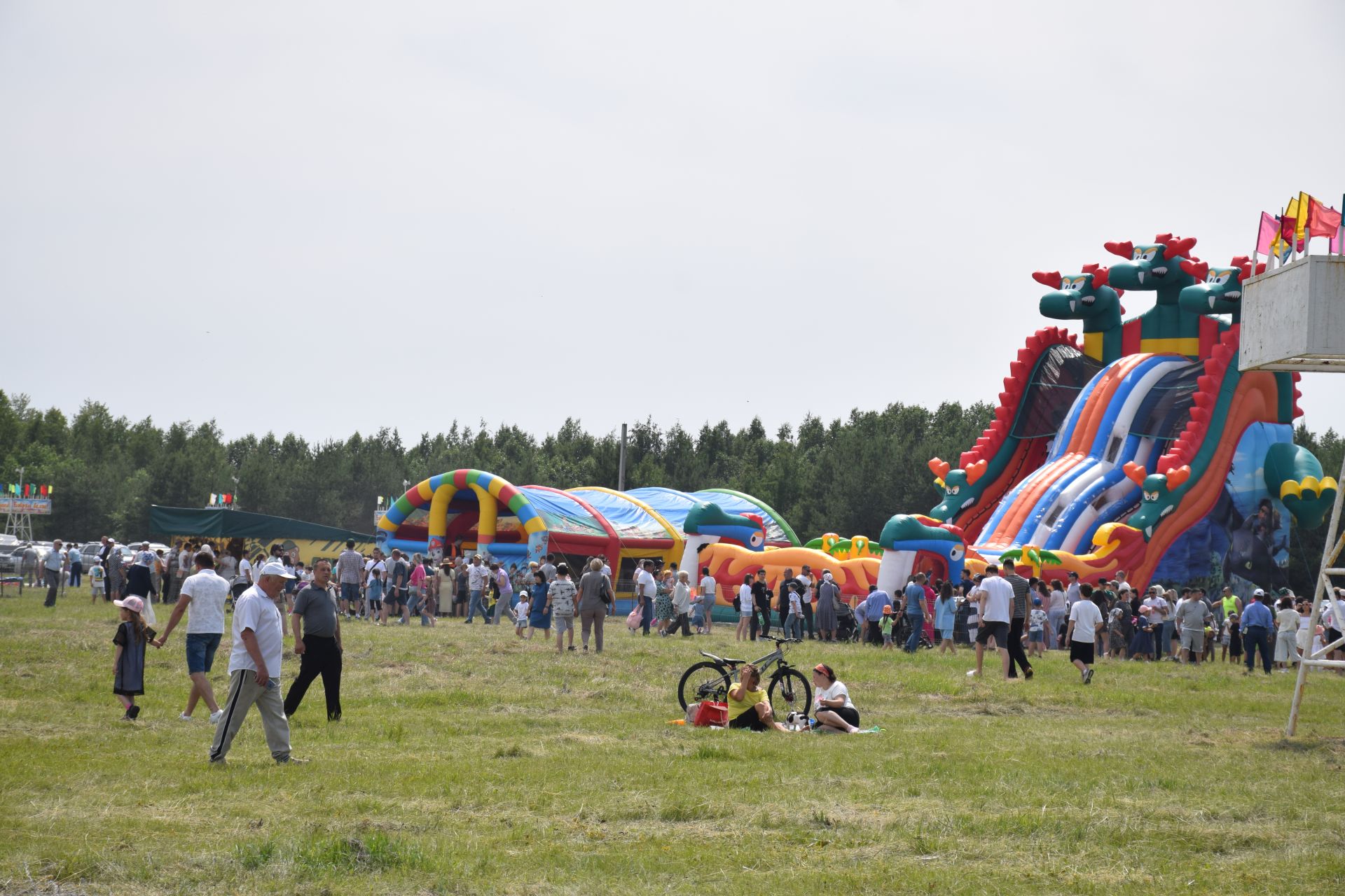 Захит Зядитов из Нового Иглайкина покорил 12-метровый шест на Сабантуе в Нурлате
