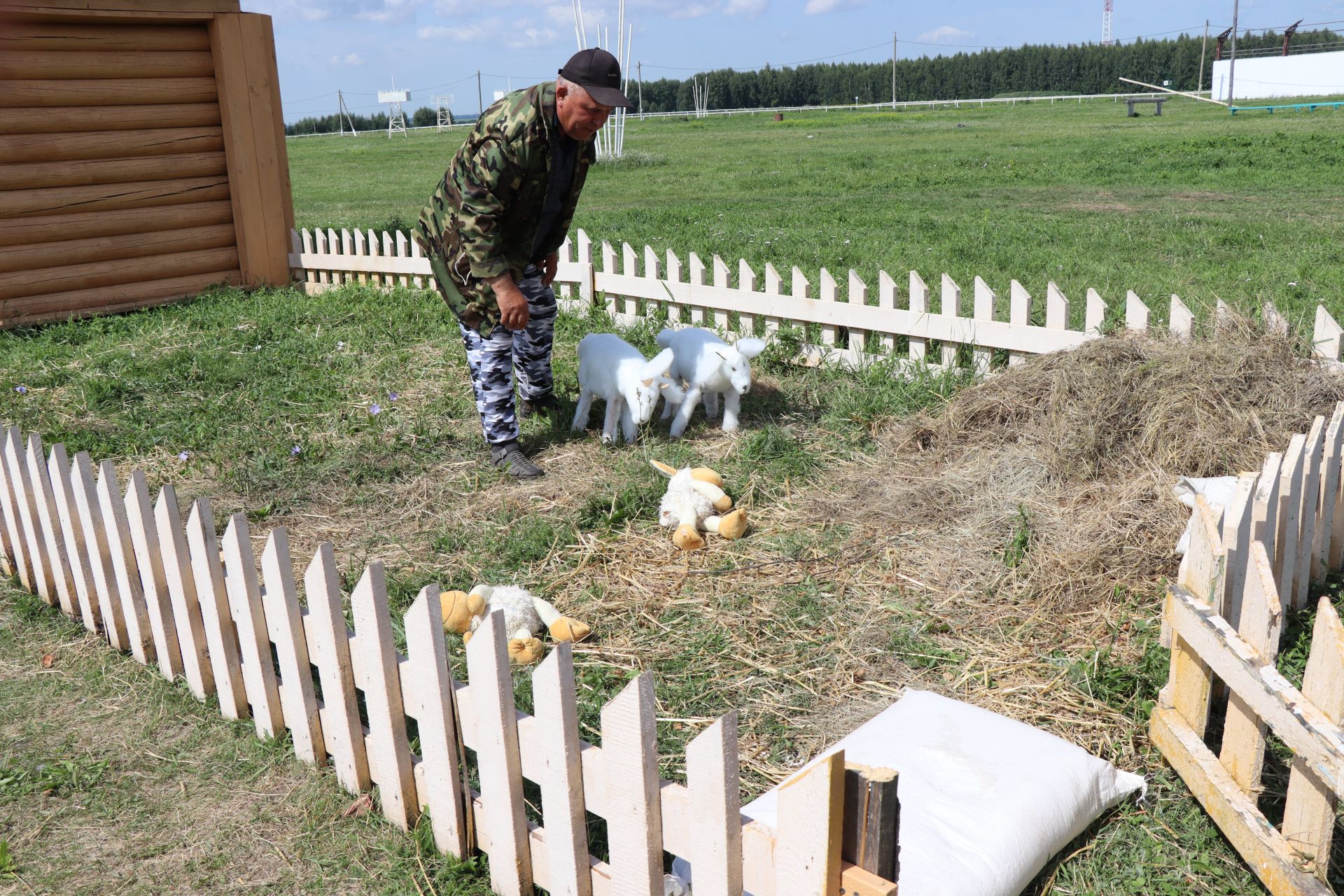 В Нурлате прошли Межрегиональные командно-штабные учения по ликвидации очага чумы мелких жвачных животных