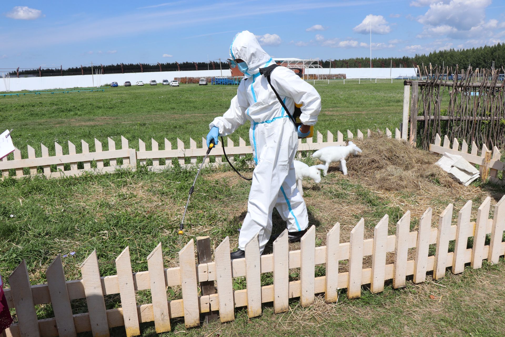В Нурлате прошли Межрегиональные командно-штабные учения по ликвидации очага чумы мелких жвачных животных