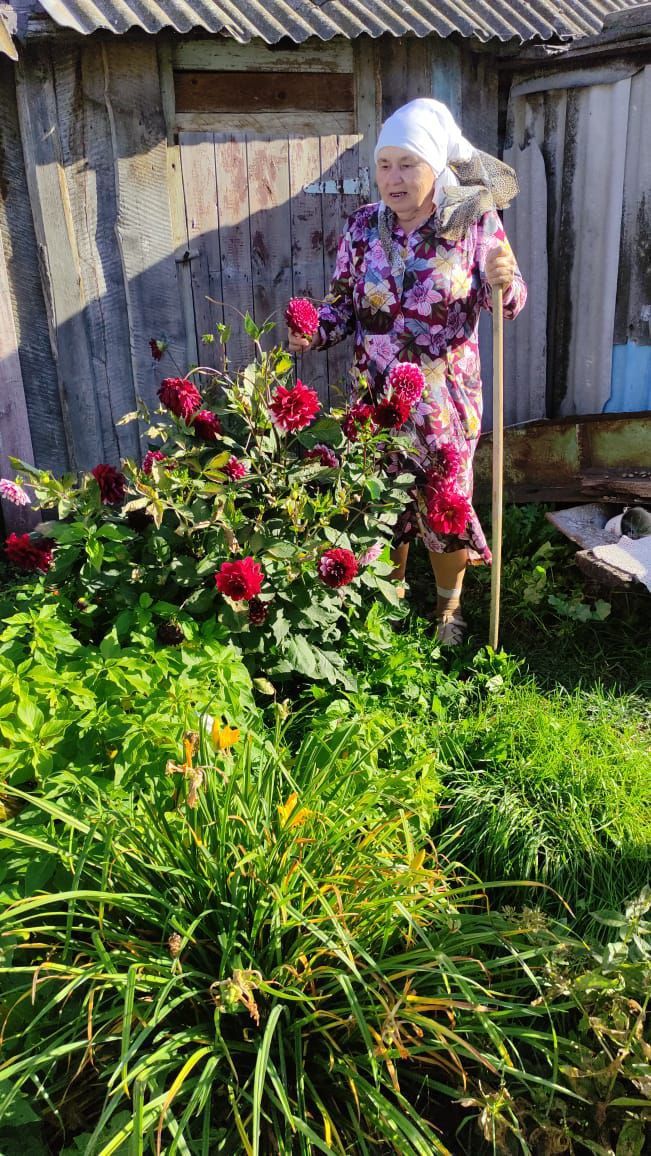 Цветущее сердце Нурлата: подопечные «Гармонии» показали свои сады