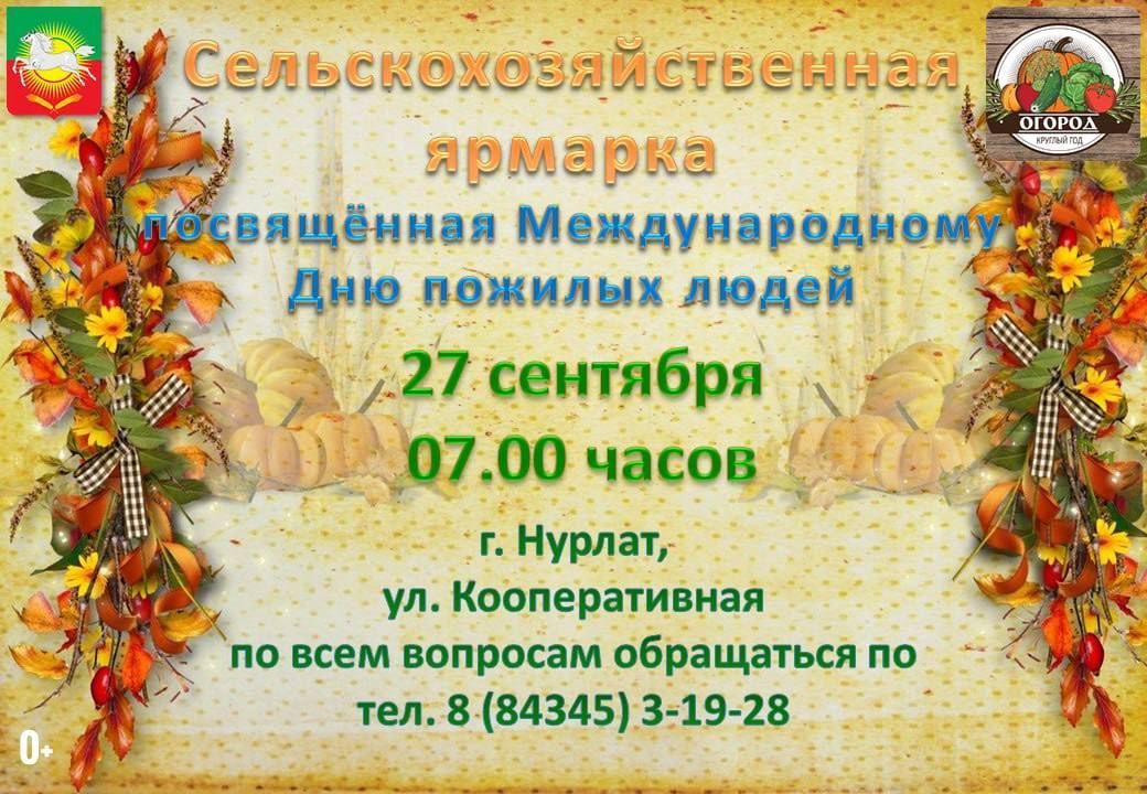 Ярмарка ко Дню пожилых людей на улице Кооперативная в Нурлате