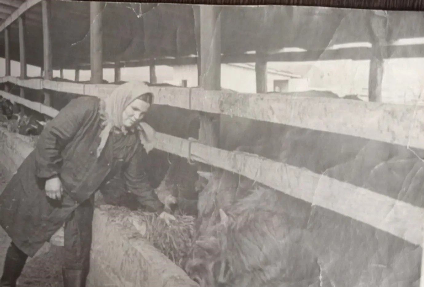 Газета укучыбыз үзенең әнисе турында сөйли