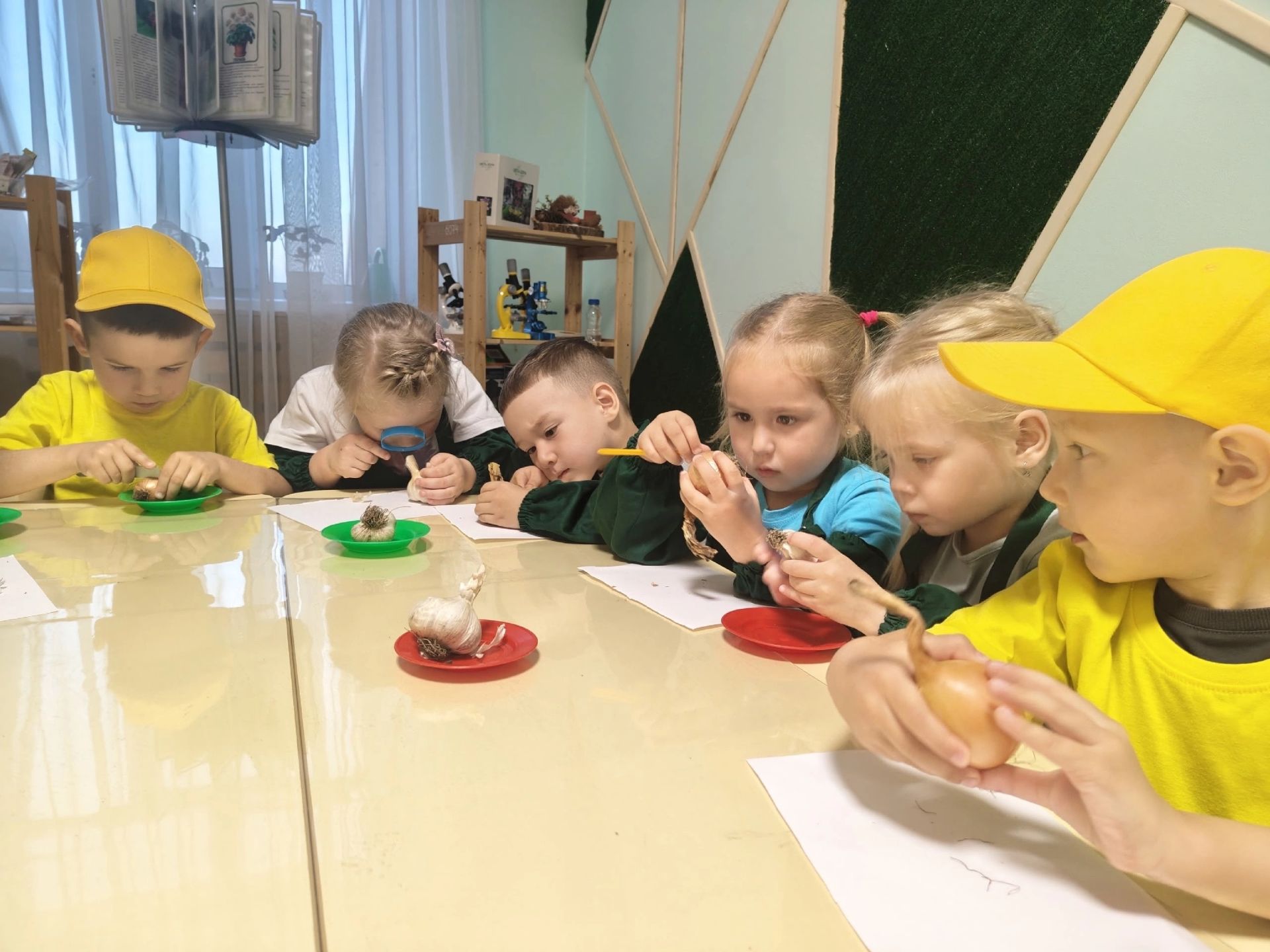 В детском саду «Буратино» прошёл «Час науки» о луке и чесноке