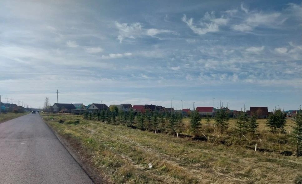 В Нурлате высадили 200 хвойных деревьев