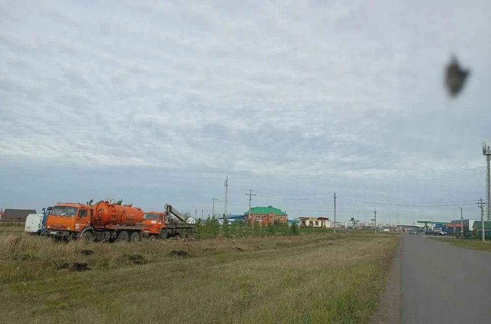 В Нурлате высадили 200 хвойных деревьев