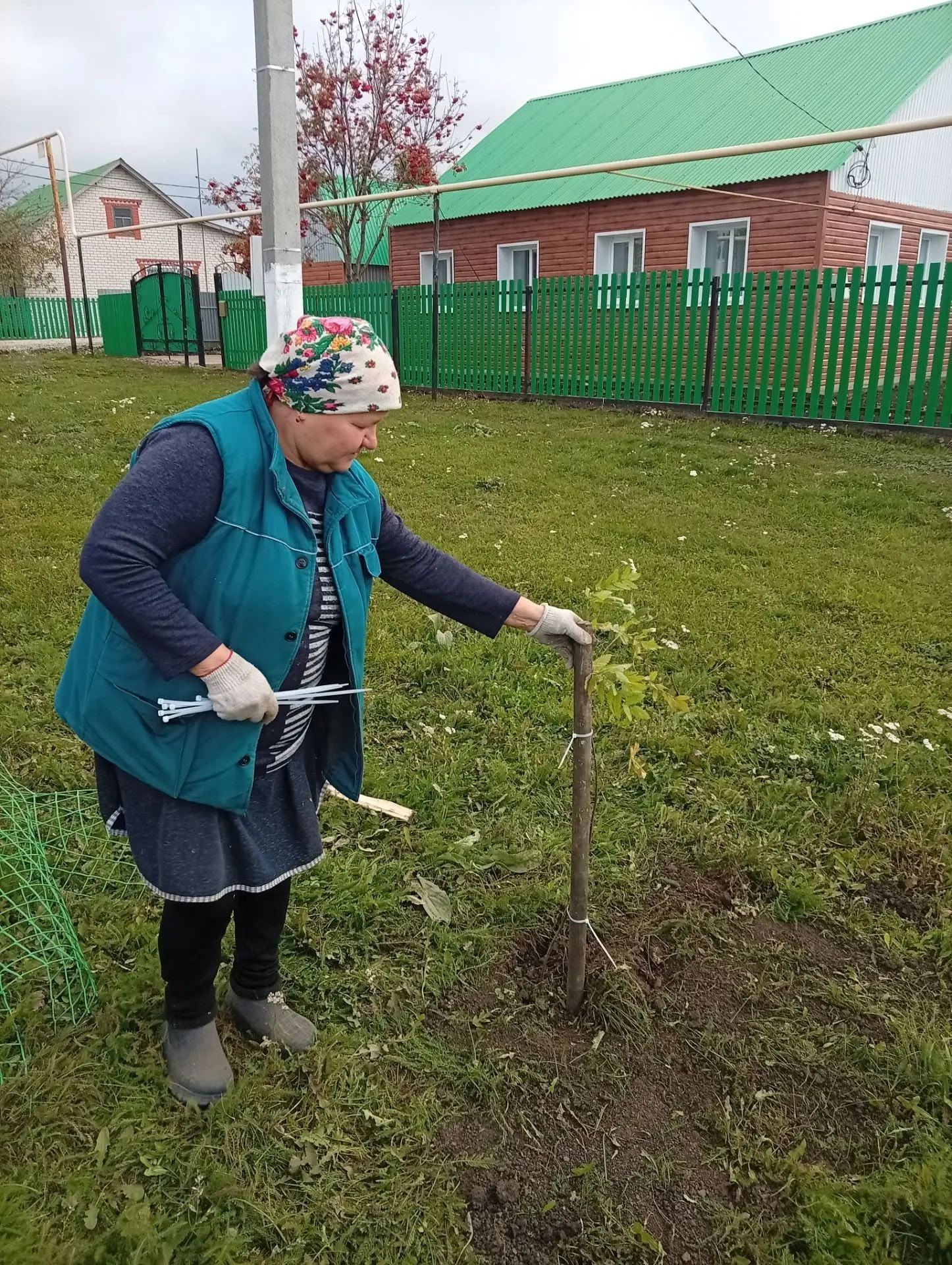 В Нижнем Нурлате высадили рябиновую аллею