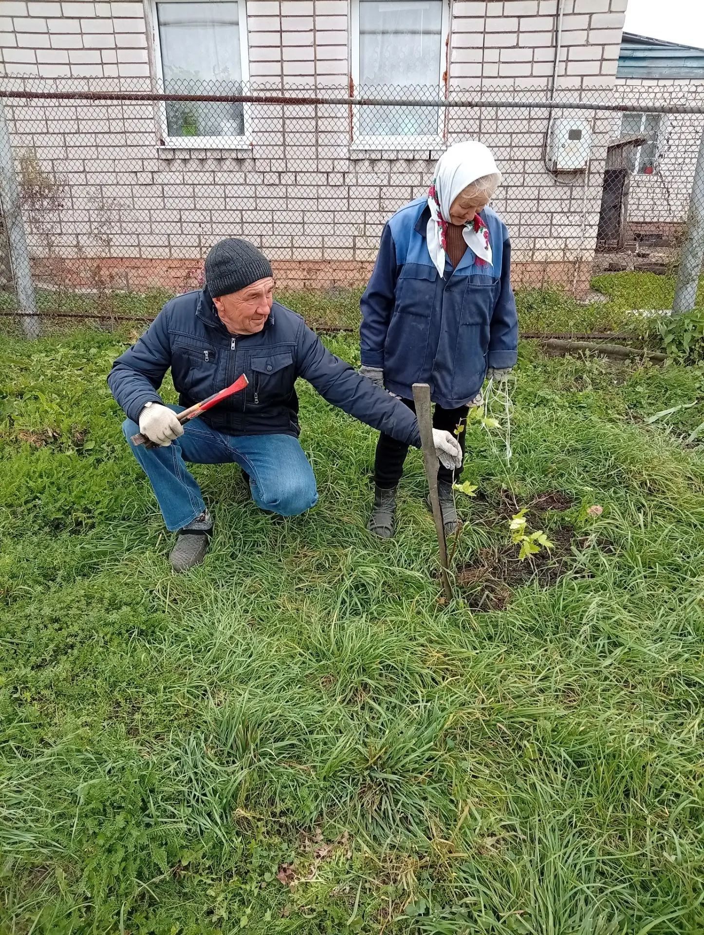 В Нижнем Нурлате высадили рябиновую аллею