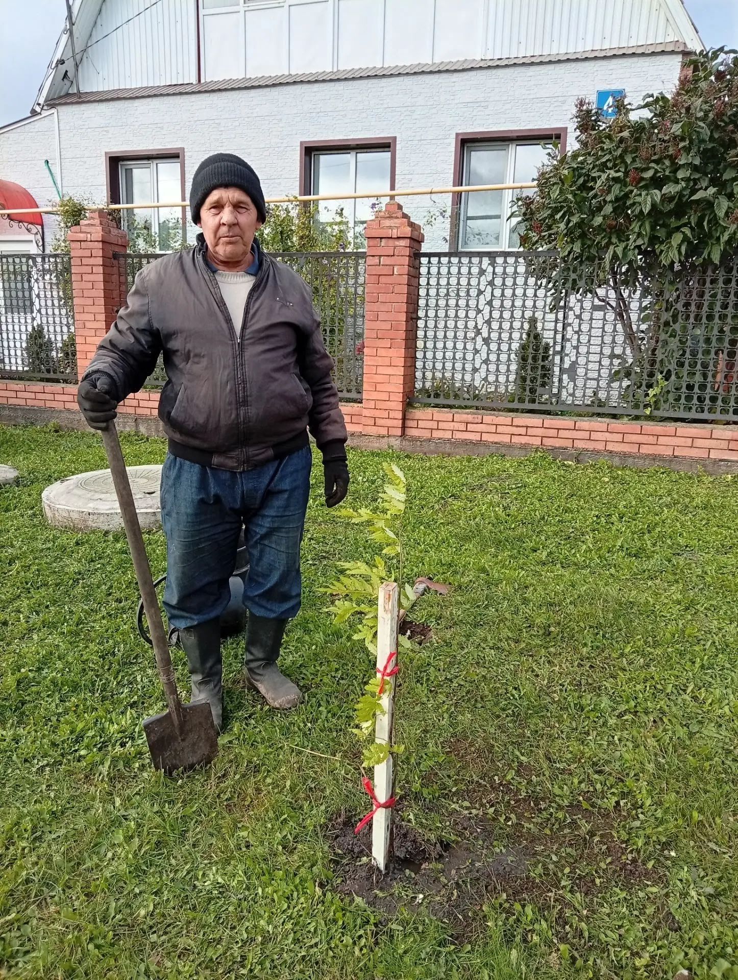 В Нижнем Нурлате высадили рябиновую аллею
