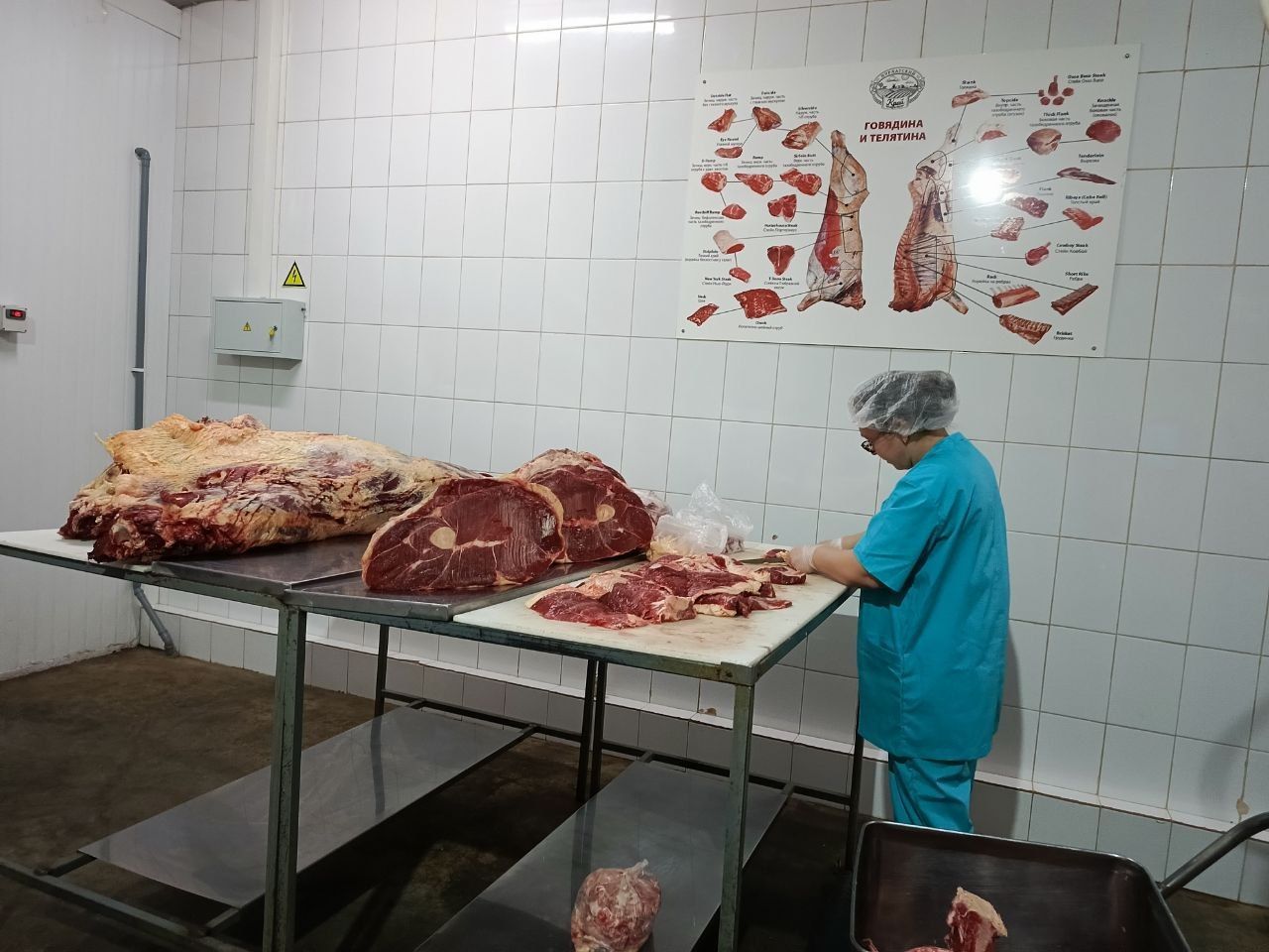 Делегация Минэкономики РТ оценила промышленный потенциал Нурлатского района