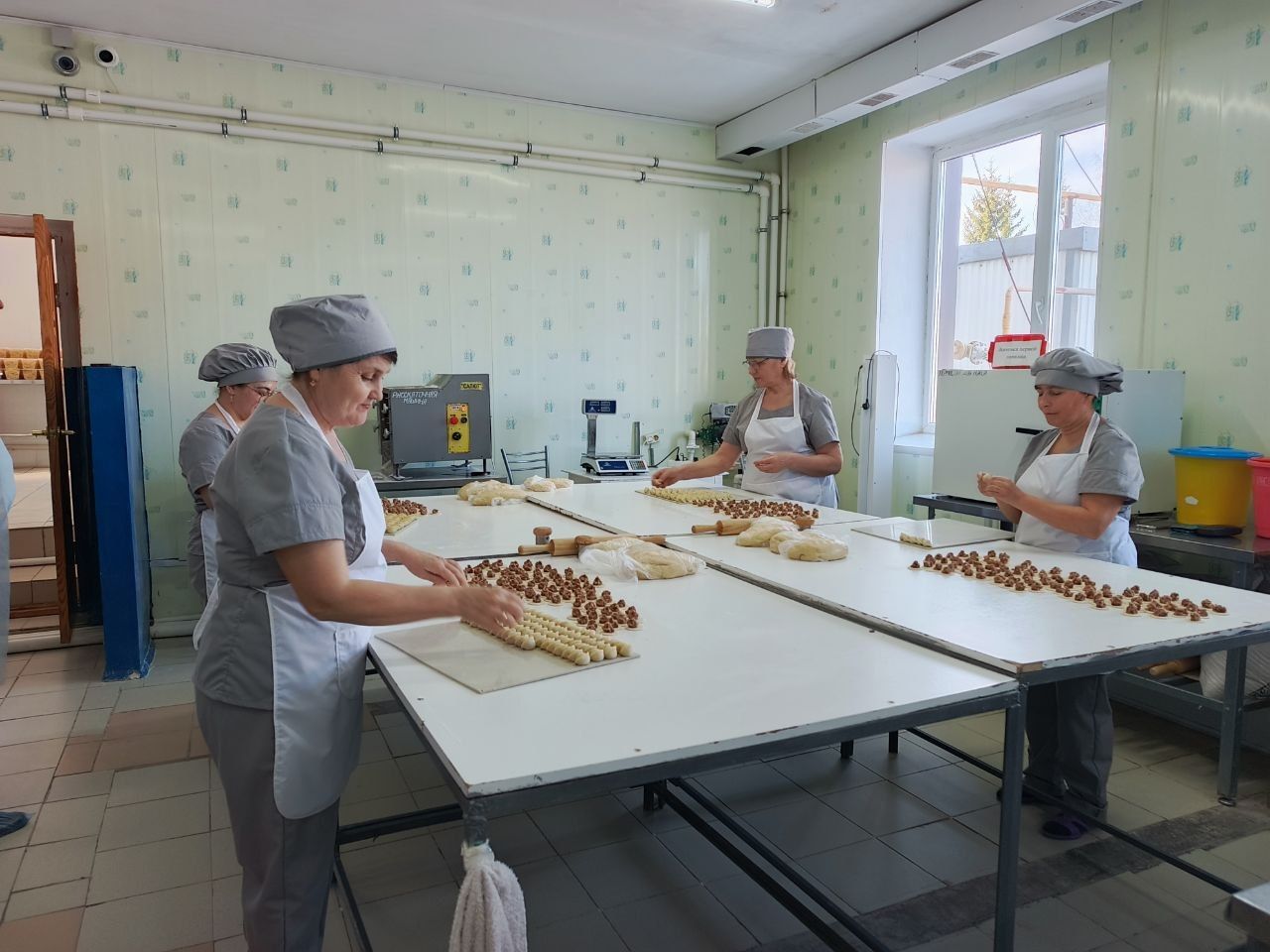 Делегация Минэкономики РТ оценила промышленный потенциал Нурлатского района
