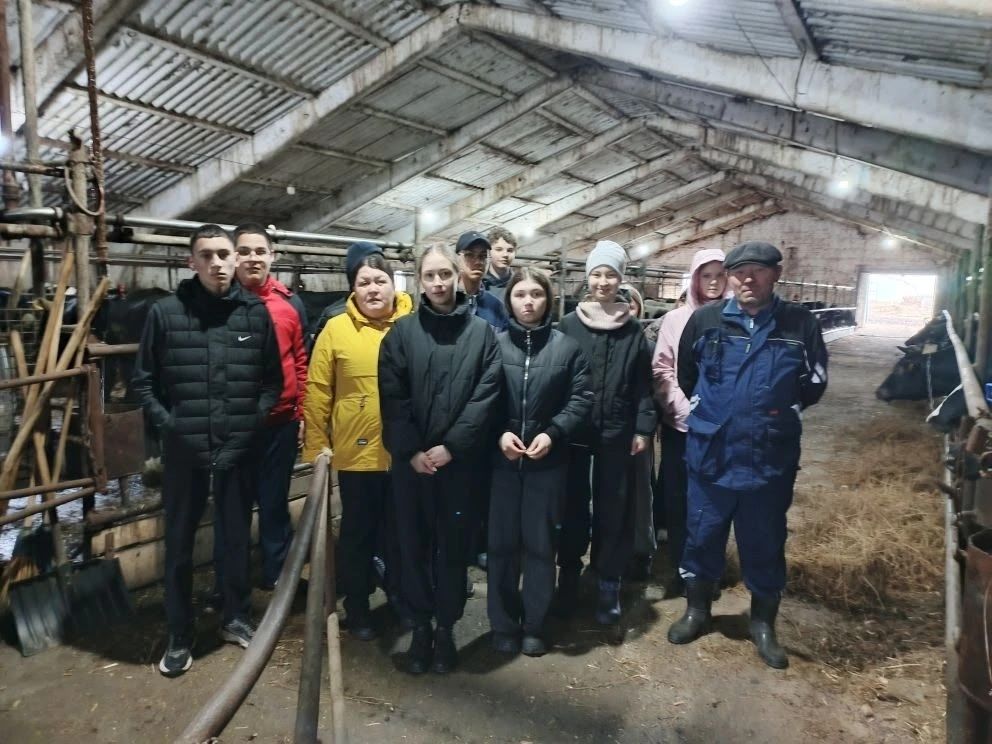 Школьники Егоркинской школы увидели ферму будущего на МТФ «Аграрий»