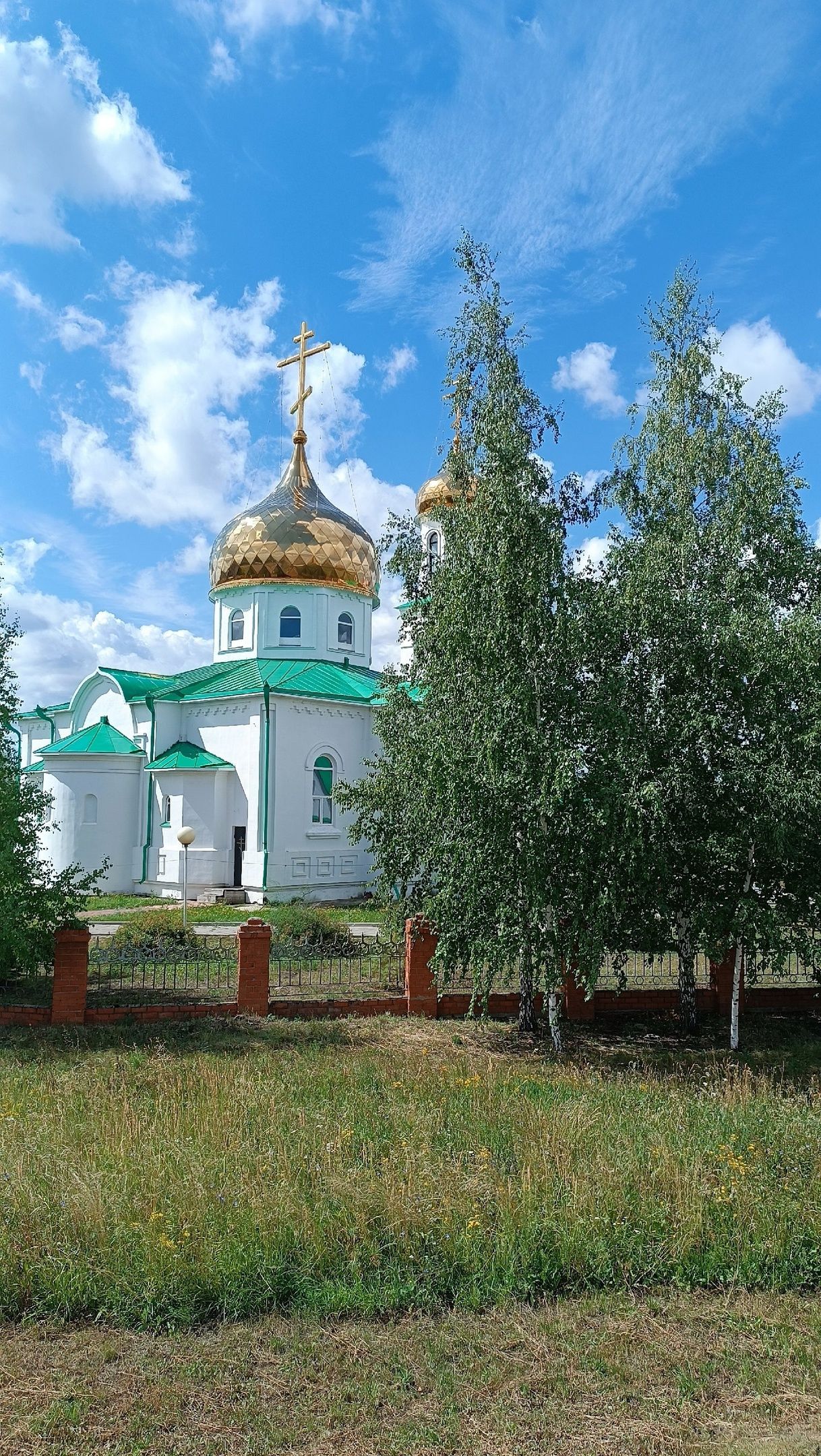 День нездоровой пищи, Казанская икона и Прокопий Жнец: праздники 21 июля