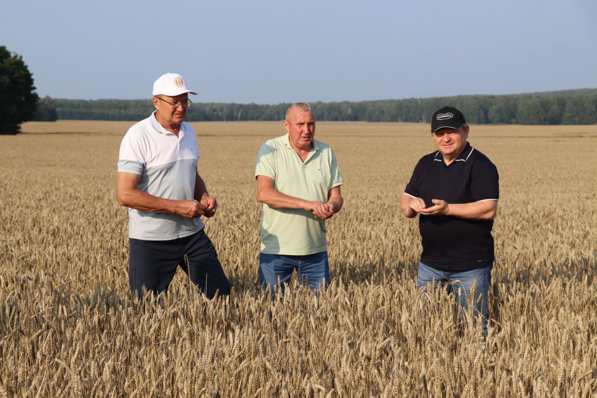 В Нурлатском районе стартовала уборочная кампания