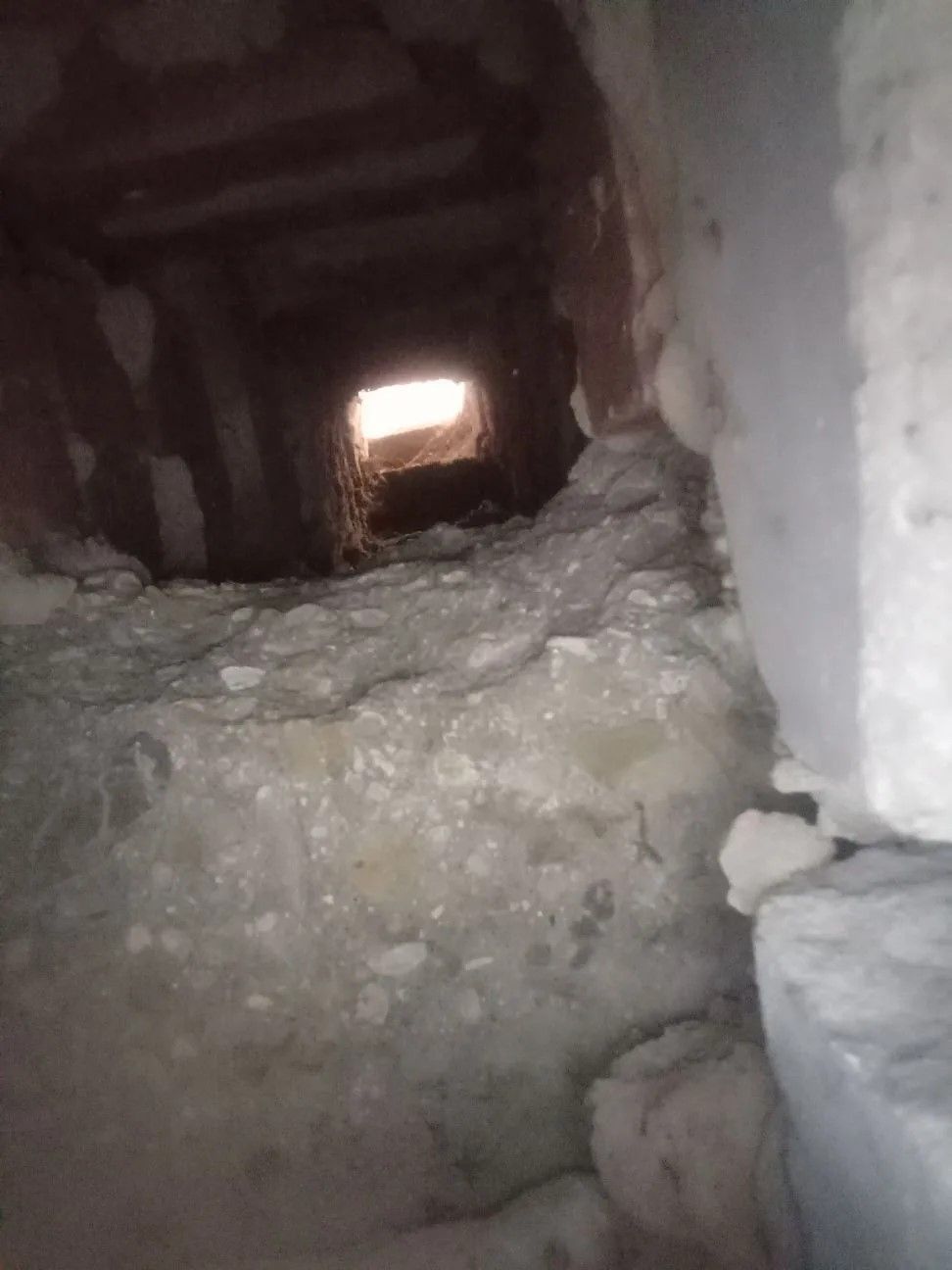 Голубь в дымоходе стал причиной отравления угарным газом семьи в Нурлате