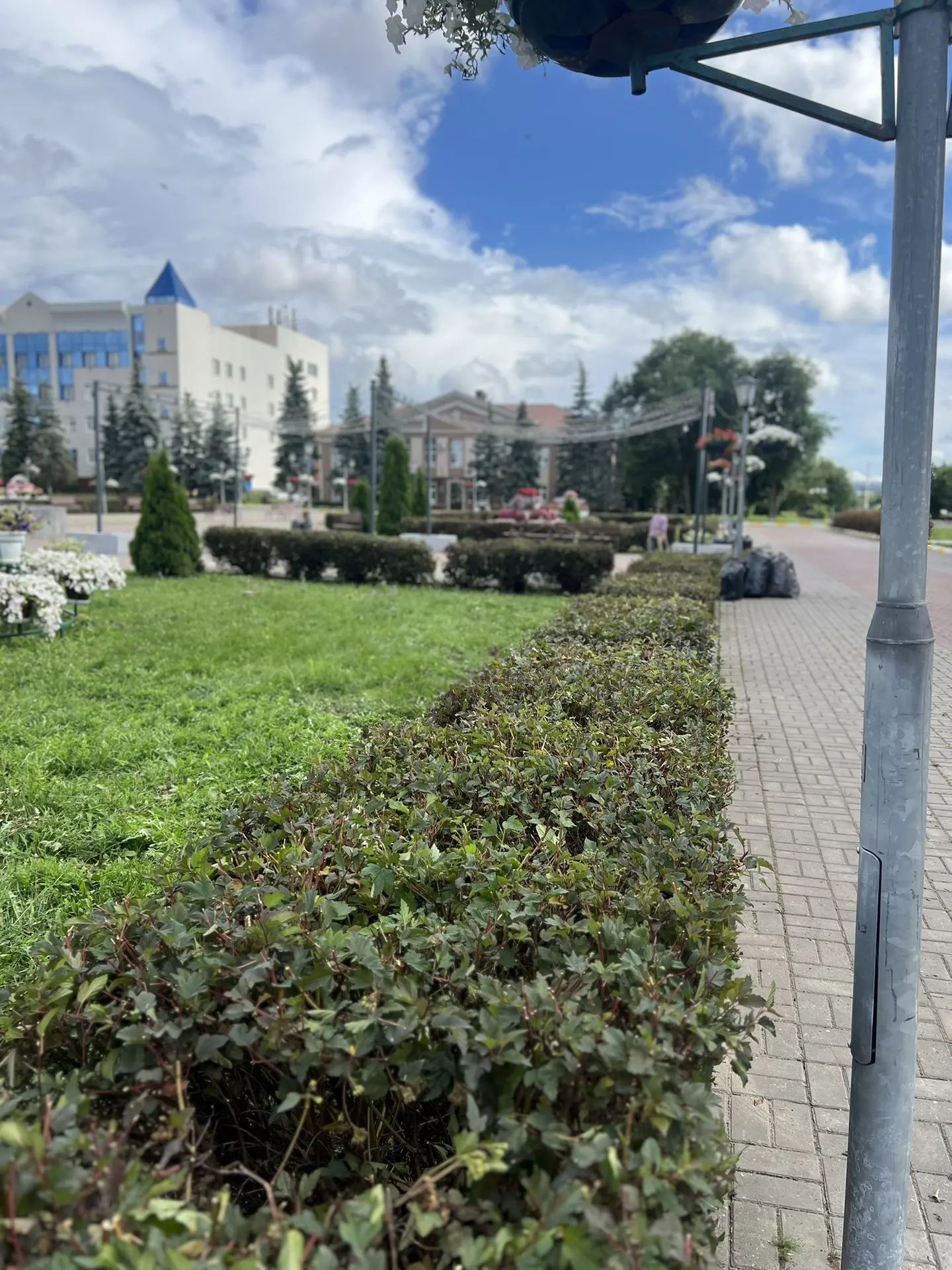 В Нурлате продолжается сезонная обрезка зеленых насаждений
