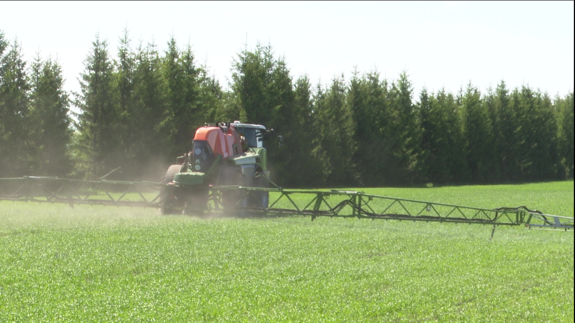 «Экватор» весеннего сева преодолели в агрофирмах №14 и №15 агрохолдинга «Чистополье»