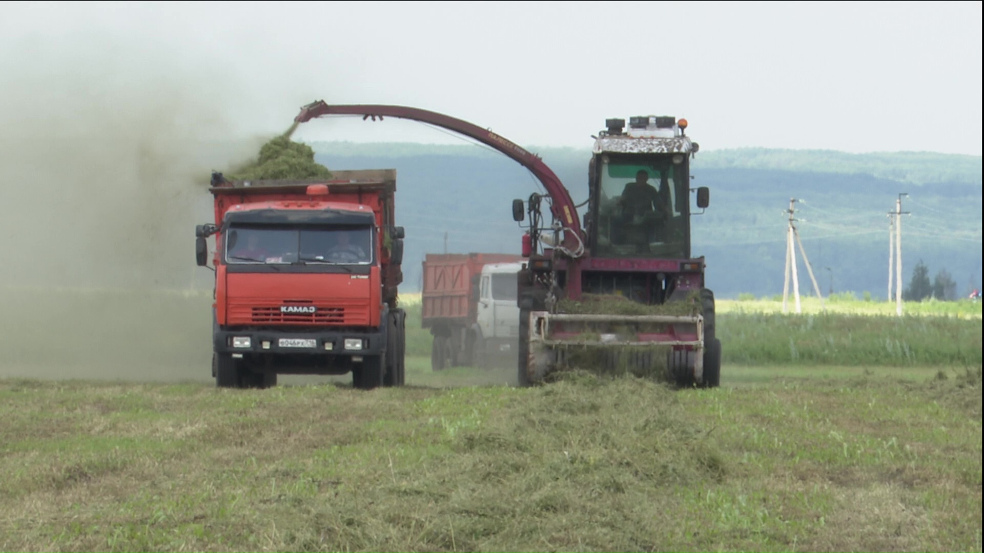 Все силы хозяйств Нурлатского района направлены на заготовку кормов