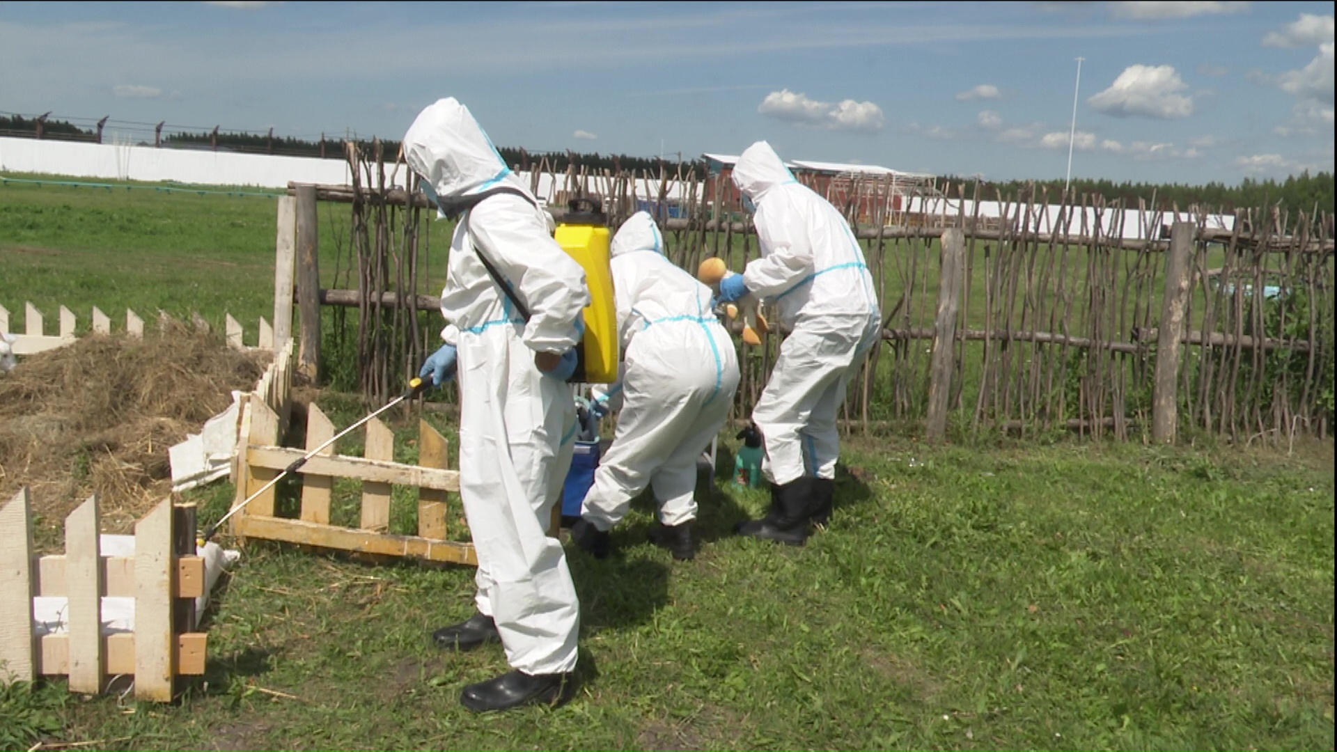 В Нурлате ликвидировали чуму мелких жвачных животных, карантин снят