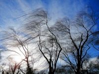 В Татарстане 31 марта ожидается сильный порывистый ветер