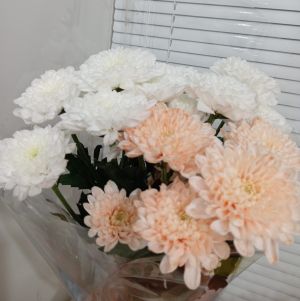 Уважаемую Татьяну Андреевну МЕЧЕТИНУ с юбилеем!