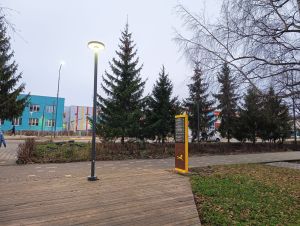 Какие праздники отмечают 29 октября 2026 года