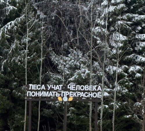 В Татарстане с 20 апреля стартует акция «Чистые леса Татарстана» в рамках нацпроекта «Экологическое благополучие»