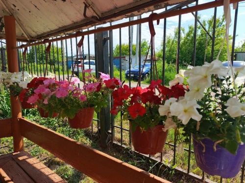 Дамира Шайхулловича АБДУЛЛИНА с 65-летием!