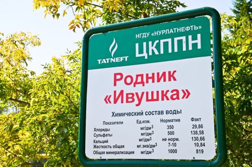 Родник НГДУ «Нурлатнефть» стал одним из лучших