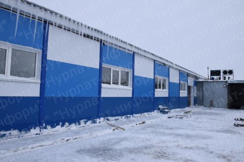 В сельхозкооперативе «Восток» города Нурлат производят 12 видов сыра и сливочное масло