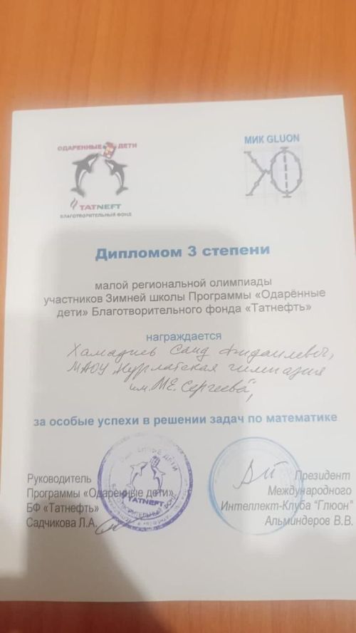 Отличные результаты показали нурлатские юноши на малой региональной олимпиаде в Альметьевске