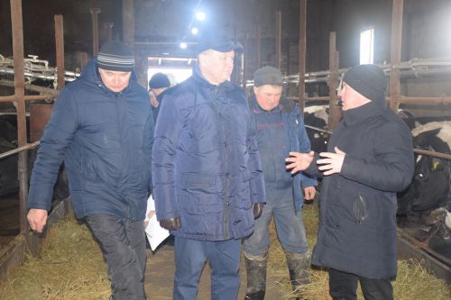 Глава Нурлатского района посетил ЛПХ Ильнура Ханяфиева