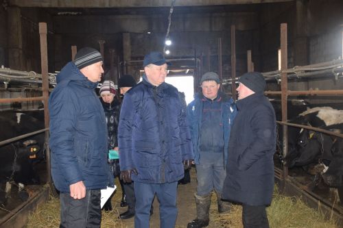 Глава Нурлатского района посетил ЛПХ Ильнура Ханяфиева