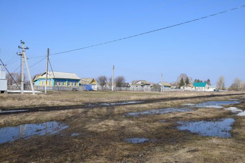 В день своего 95-летия Елизавета Павловна Сенькина из Абрыскина для своих гостей спела песни на чувашском языке