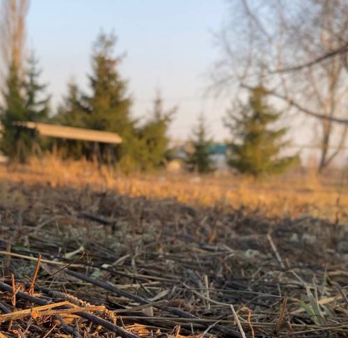 Завтра в Нурлате ожидается облачность с прояснениями