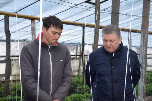 В хозяйстве Файзуллиных из Нурлатского района теперь теплиц больше