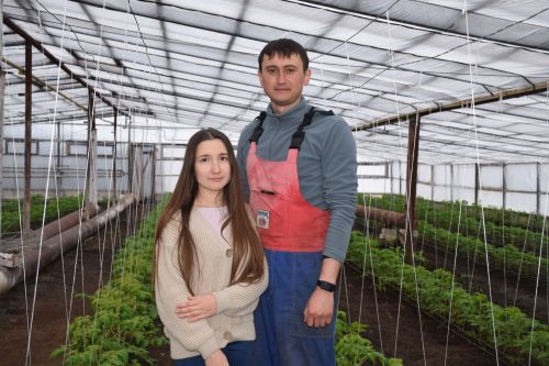 В хозяйстве Файзуллиных из Нурлатского района теперь теплиц больше