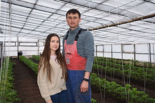 В хозяйстве Файзуллиных из Нурлатского района теперь теплиц больше