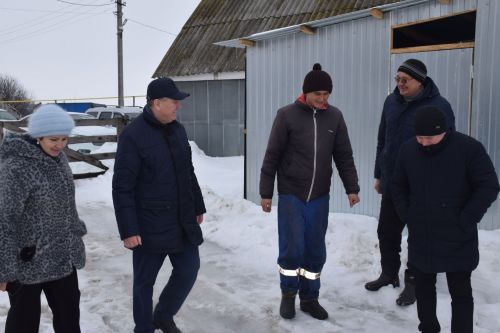 В хозяйстве Файзуллиных из Нурлатского района теперь теплиц больше