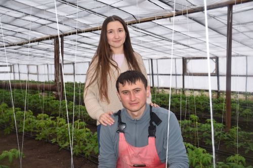 В хозяйстве Файзуллиных из Нурлатского района теперь теплиц больше