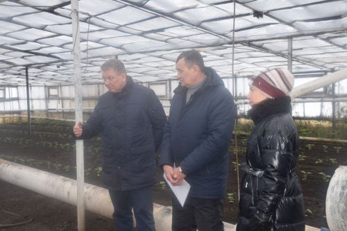 В хозяйстве Файзуллиных из Нурлатского района теперь теплиц больше